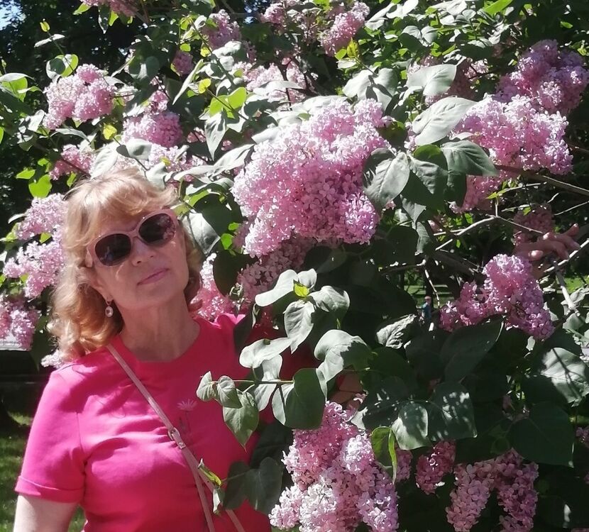 ���� 45971684 ������� �����, 60 ���, ���� ���������� � ������