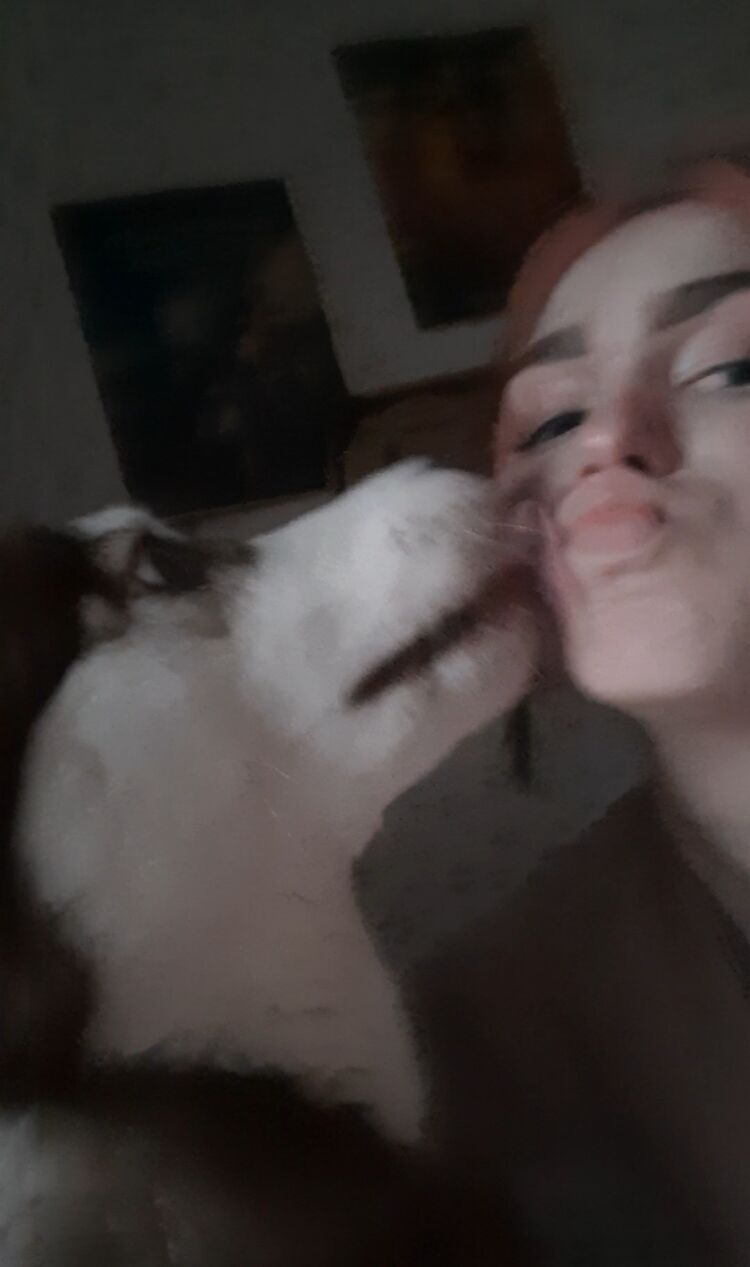 ���� 37203574 ������� ���, 20 ���, ���� ���������� � �����-����������