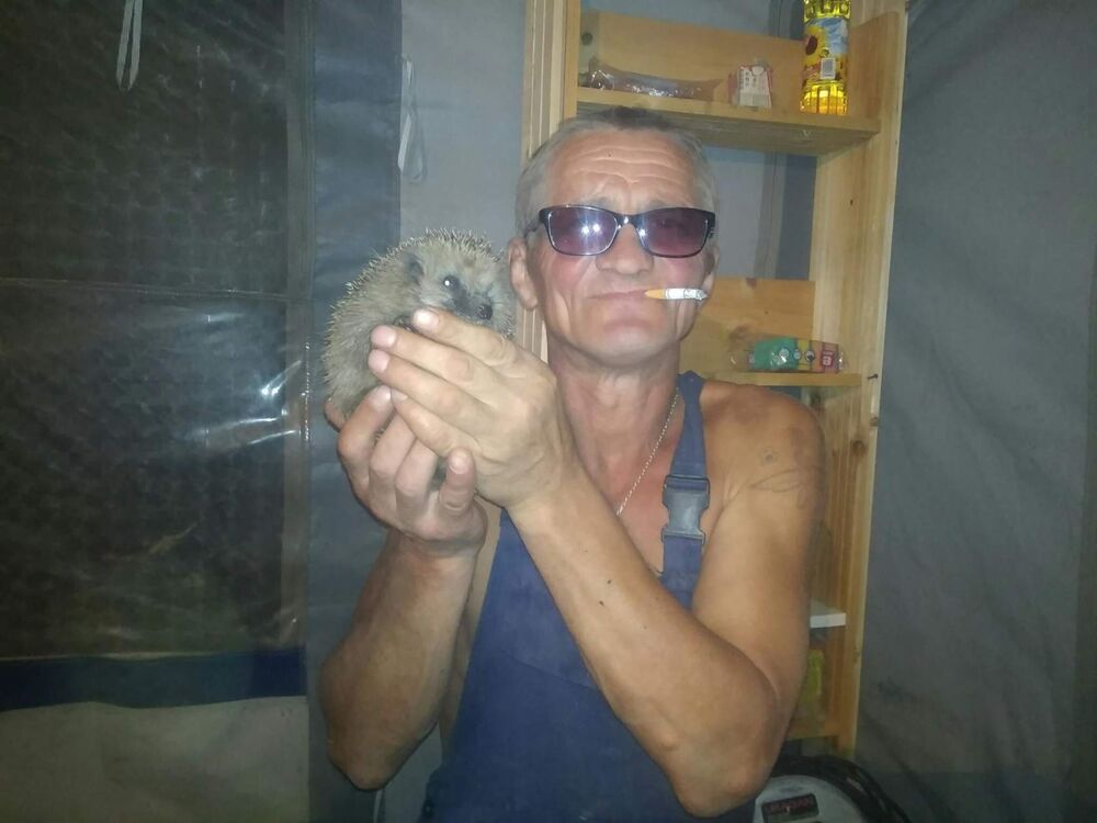  ,   , 58 ,   ,   