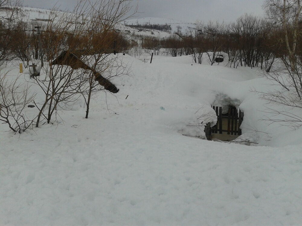  5797144  Aleksei, 48 ,    