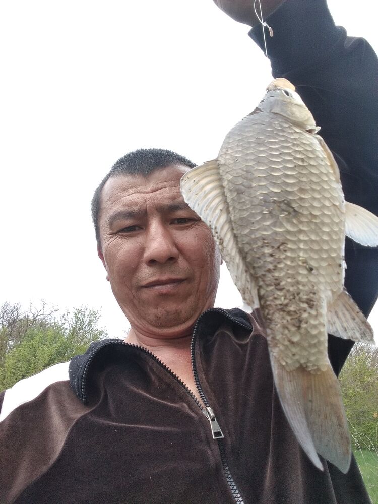 ���� 26761014 ������� �����, 50 ���, ���� ���������� � �������-��-����