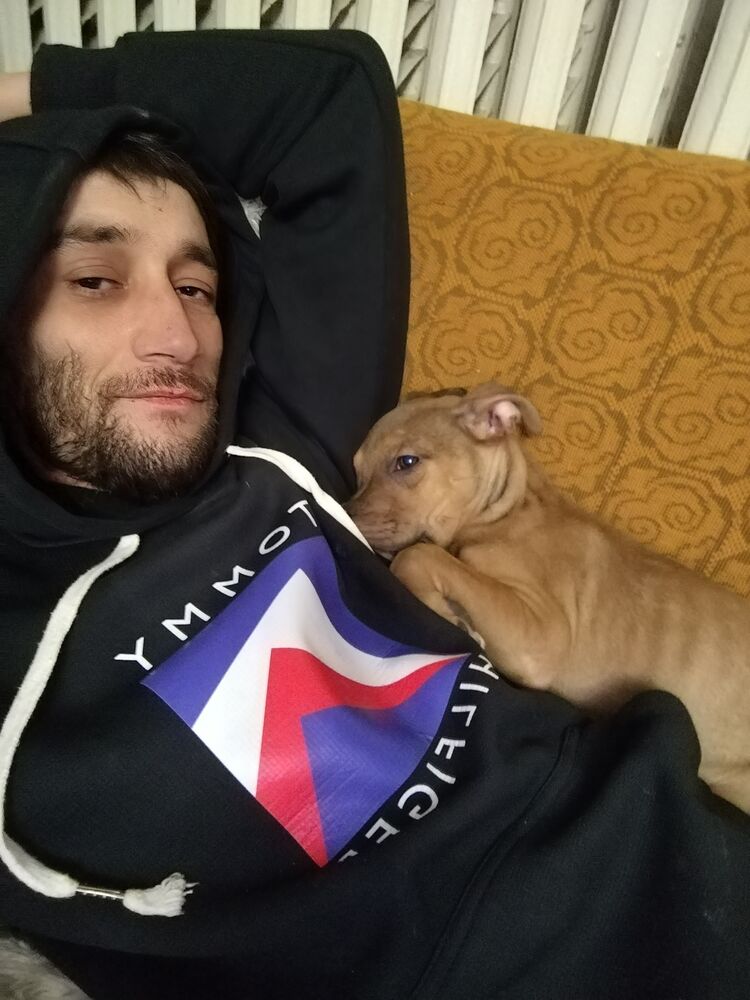 ���� 55086654 ������� ����, 37 ���, ���� ���������� � �������