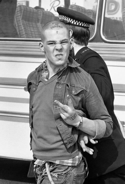 ���� 23685384 ������� Gio, 29 ���, ���� ���������� � �������