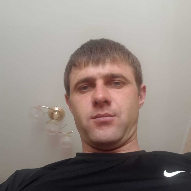  53311874  , 32 ,    