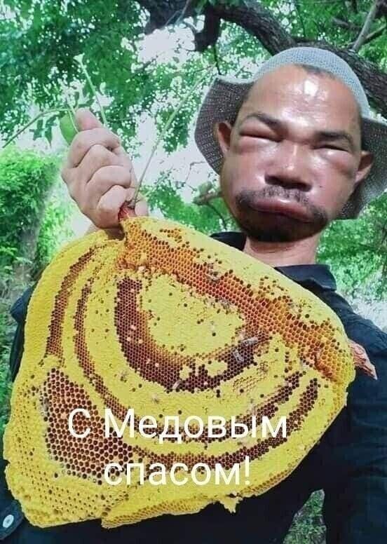  ,   , 66 ,   ,   