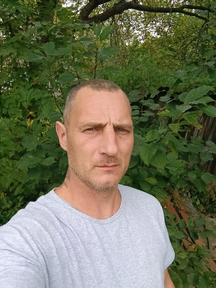  45738624  , 41 ,    