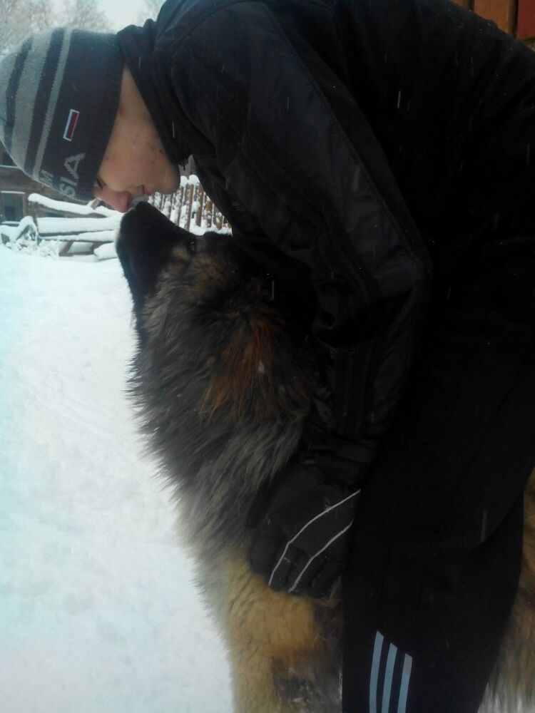 ���������� �����������, ���� ������� ������, 29 ���, ������������ ��� ������, ����� � ���������, c�������� ���������