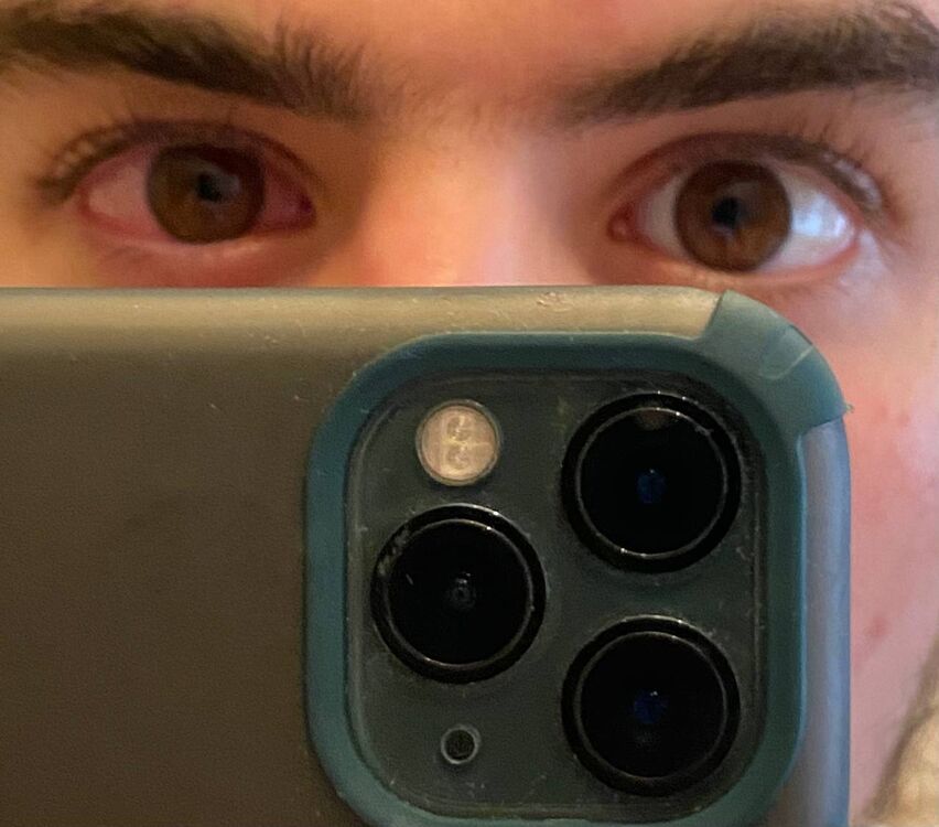 ���� 32533534 ����� �������, 24 ����, ���� ���������� � ���������