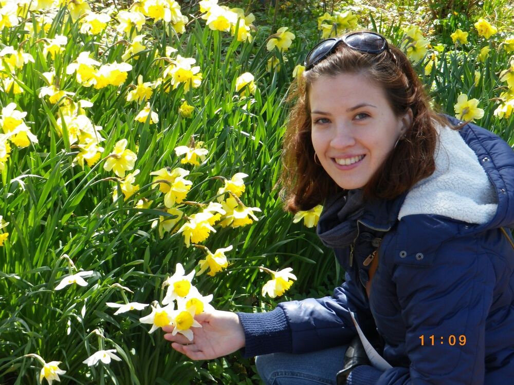 ���������� ������, ���� ������� �����, 37 ���, ������������ 