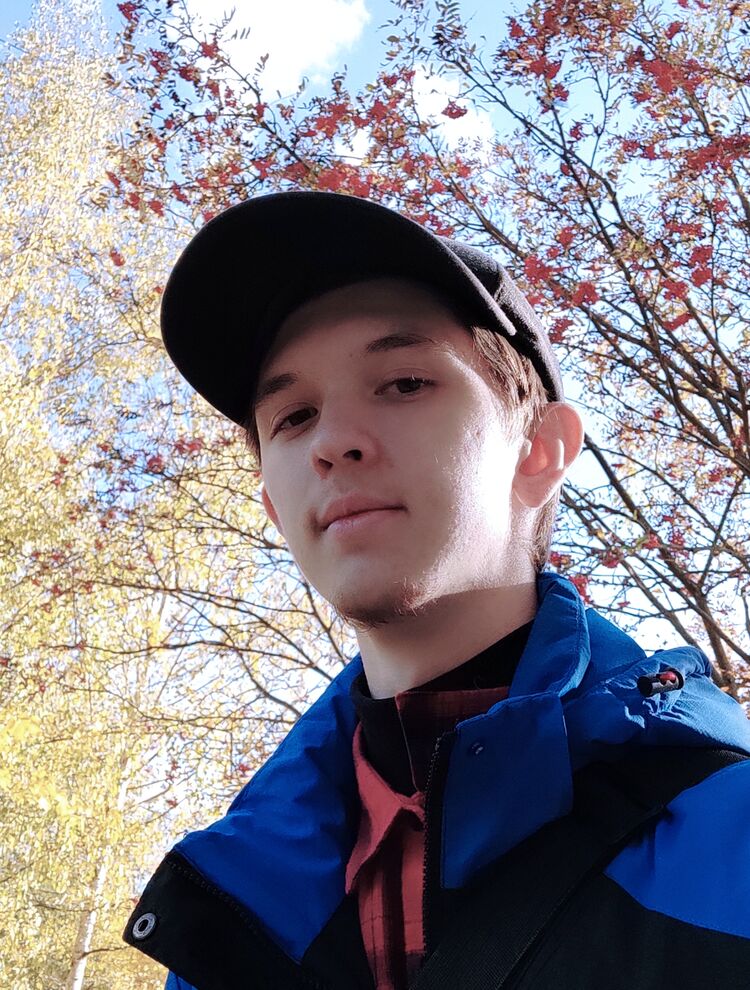 ���� 56051384 ����� �������, 20 ���, ���� ���������� � �������