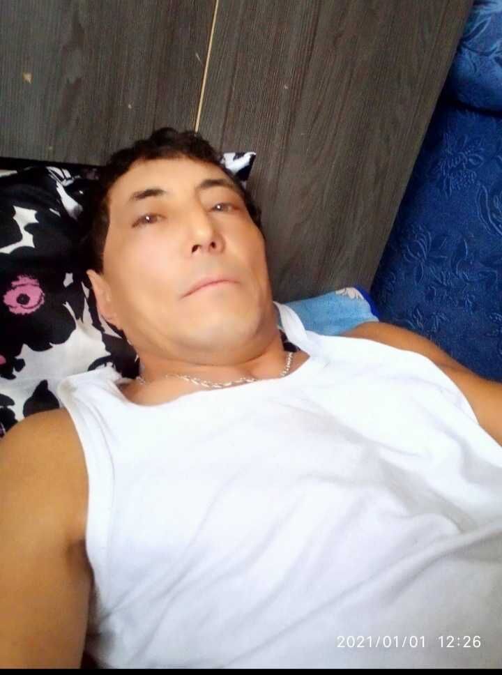  43262194  , 53 ,    