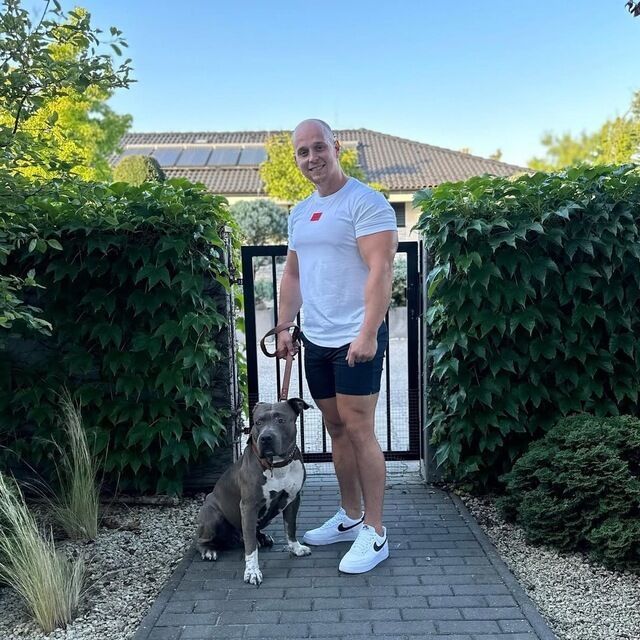 ���������� ������, ���� ������� ��������, 38 ���, ������������ ��� ������, ����� � ���������, c�������� ���������