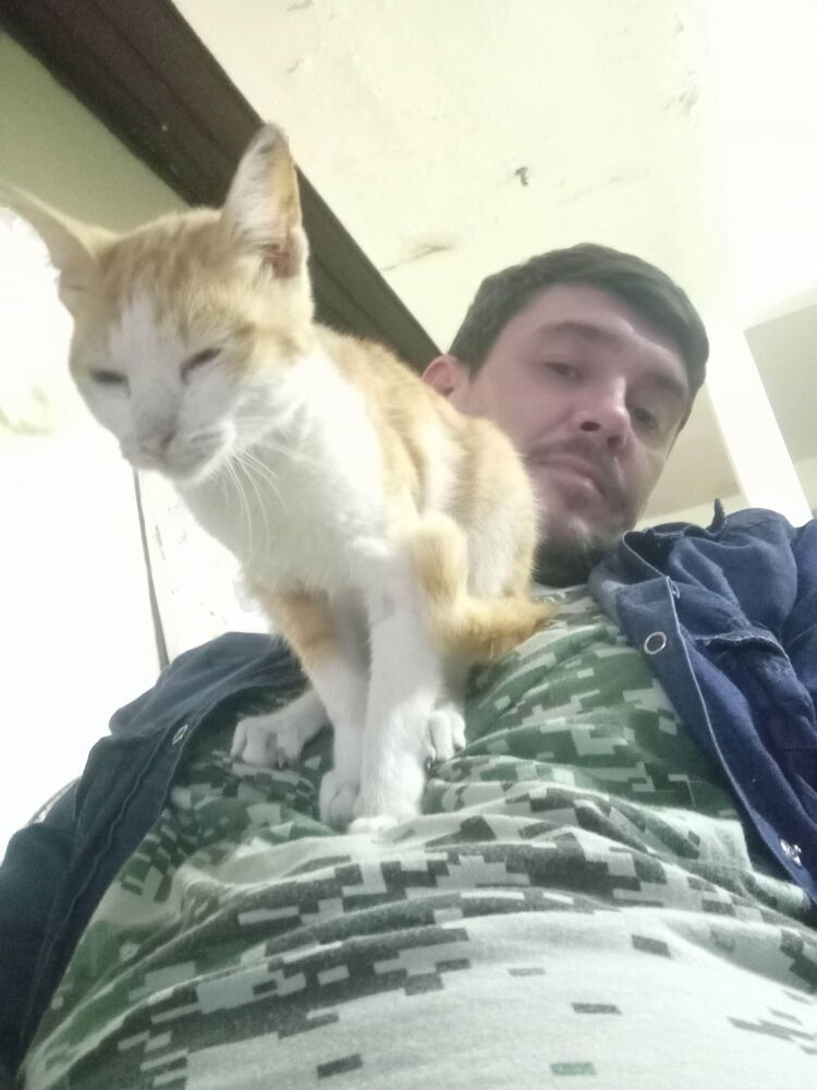 ���������� ������, ���� ������� �����, 45 ���, ������������ ��� ������, ����� � ���������