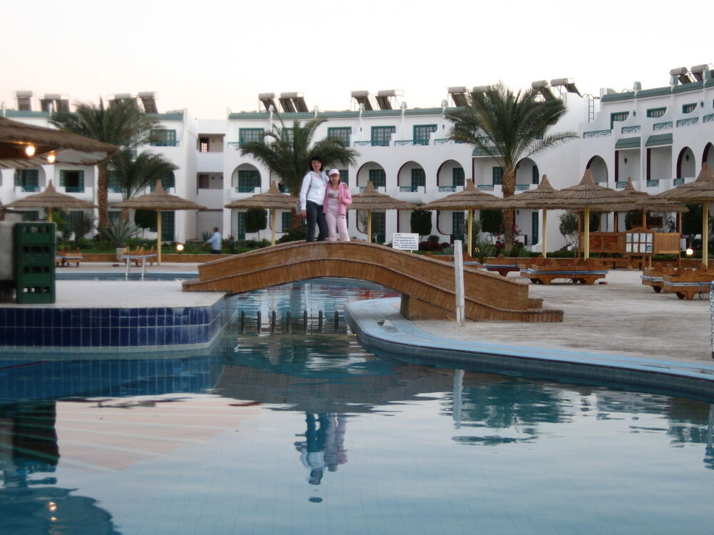  4967764  89084206077, 51 ,    