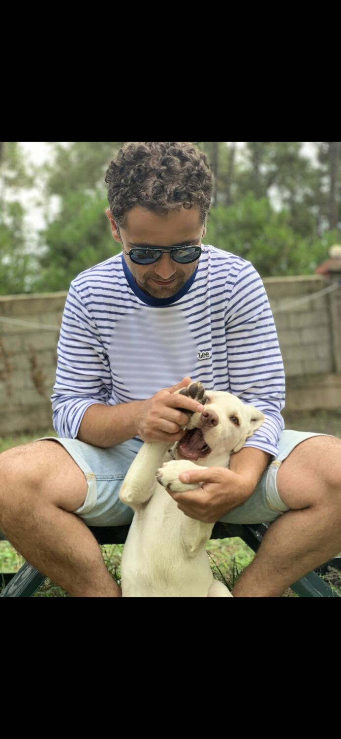 ���������� �������, ���� ������� Mik, 38 ���, ������������ ��� ������, ����� � ���������, c�������� ���������, ���������