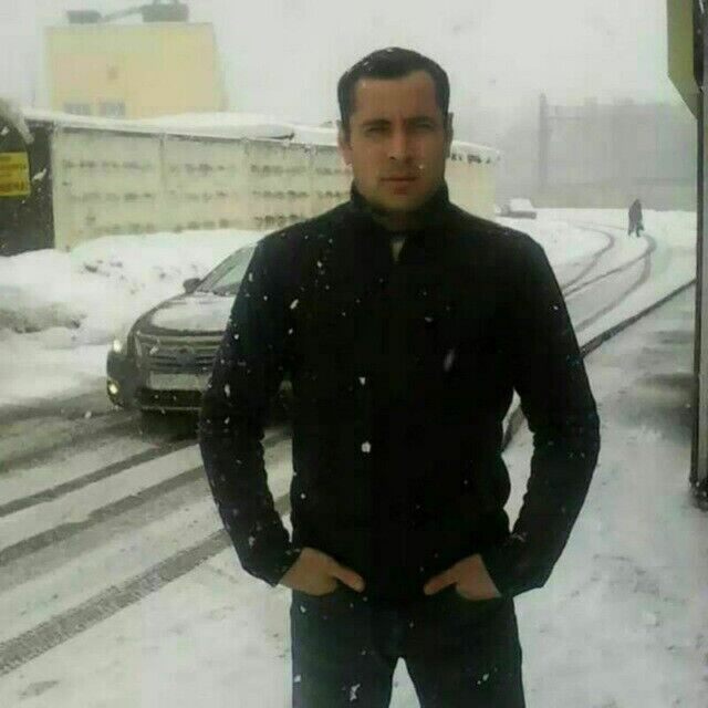  33698304  , 43 ,    