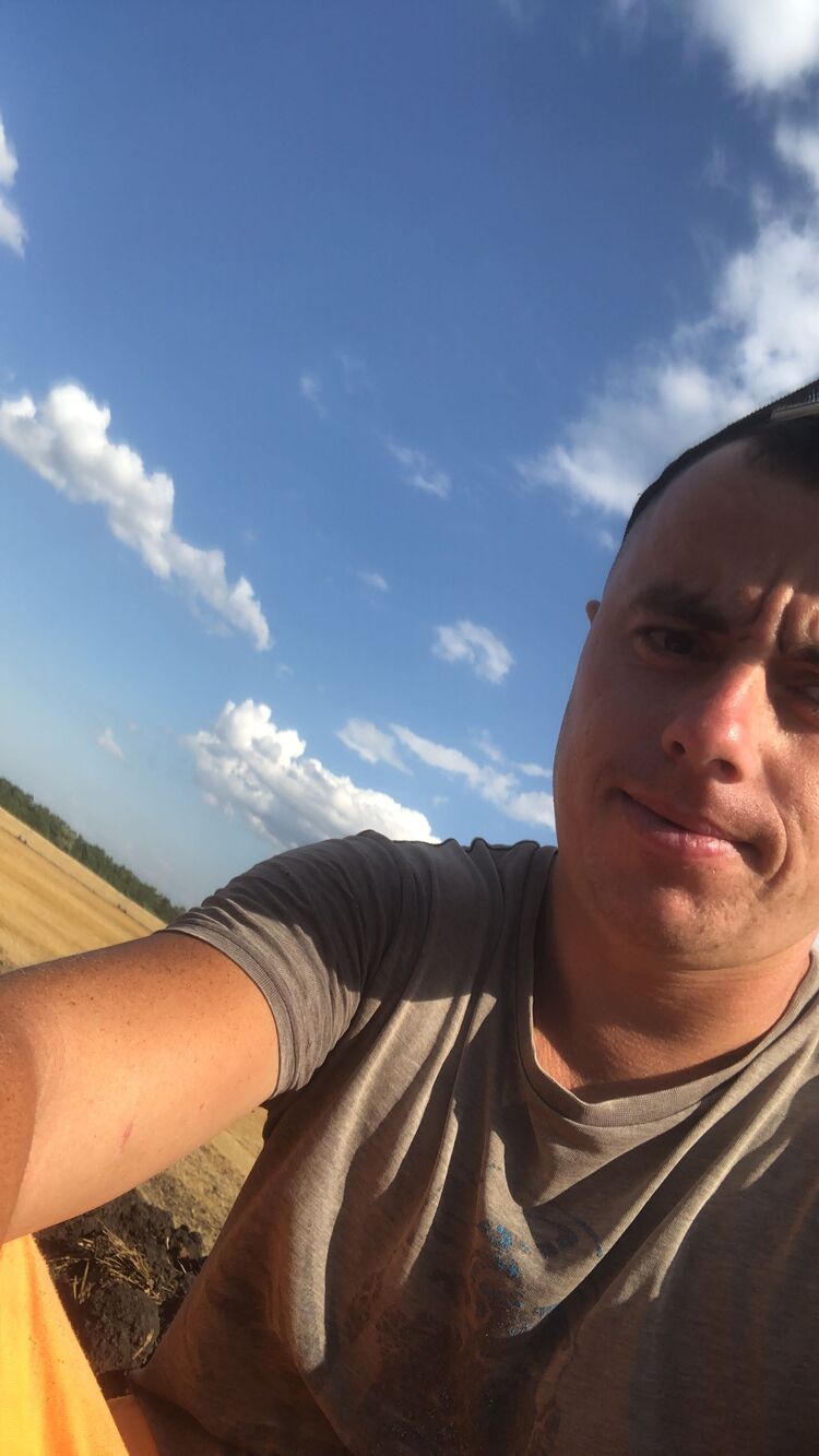  41931954  , 31 ,    