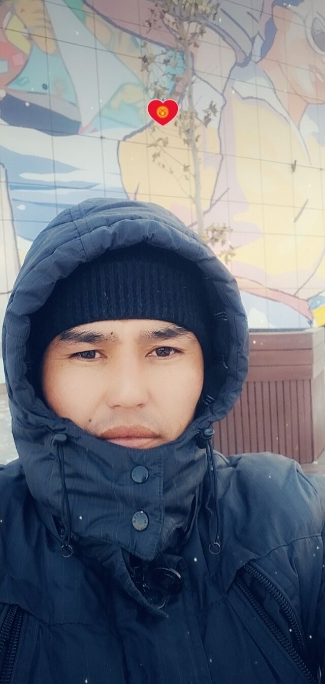  33538534  , 32 ,    