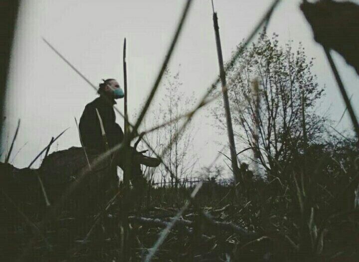 ���� 20695624 ����� �������, 24 ����, ���� ���������� � ��������