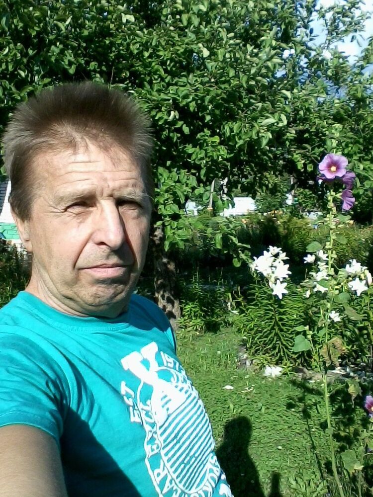  16952054  C, 65 ,    