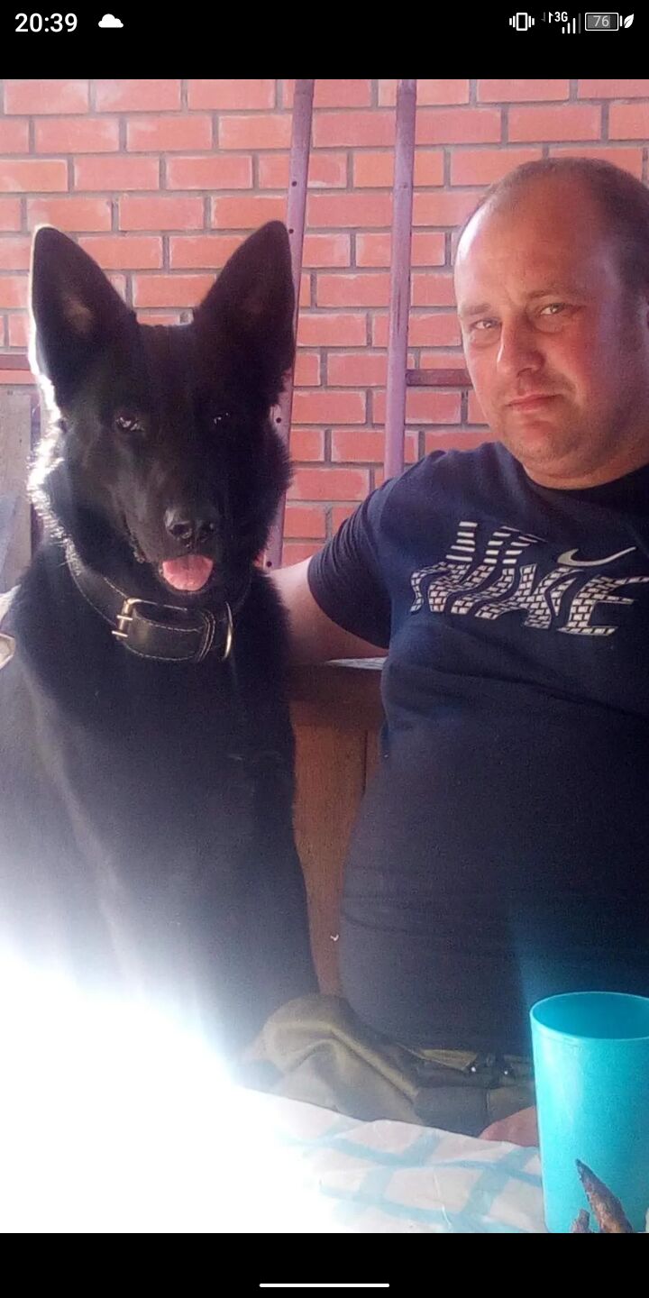 ���������� ������������, ���� ������� ������, 43 ����, ������������ ��� ������, ����� � ���������