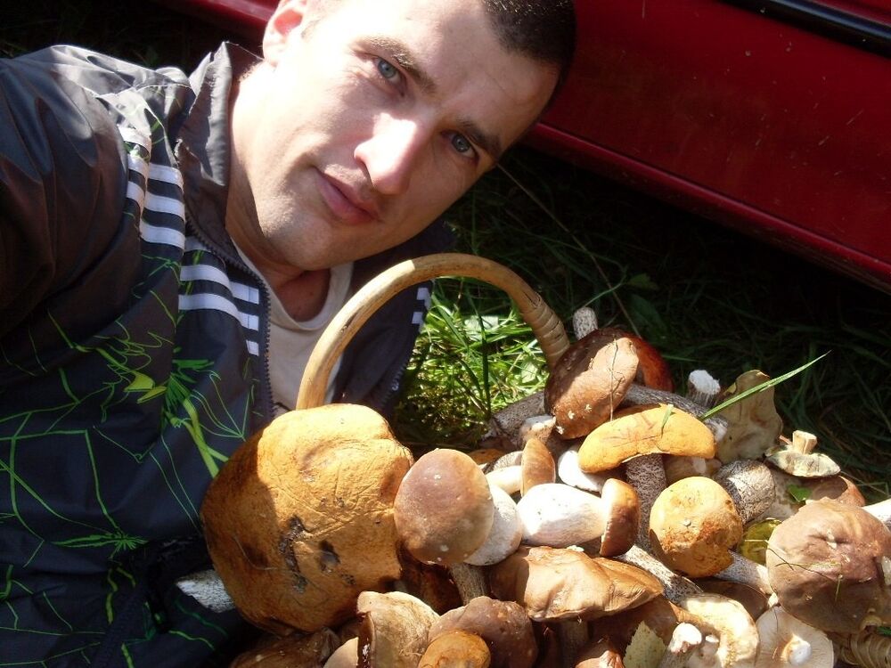  ,   , 37 ,   