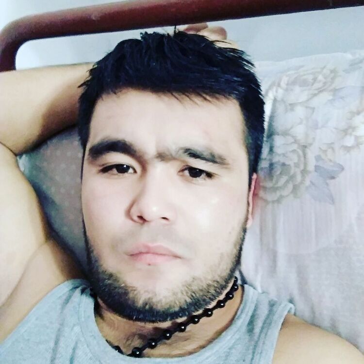  23898694  , 33 ,    