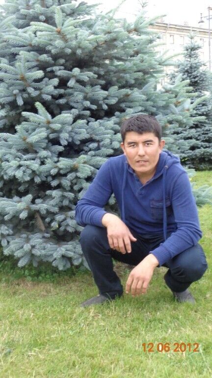 ���� 24120404 ������� ������, 36 ���, ���� ���������� � �����-����������