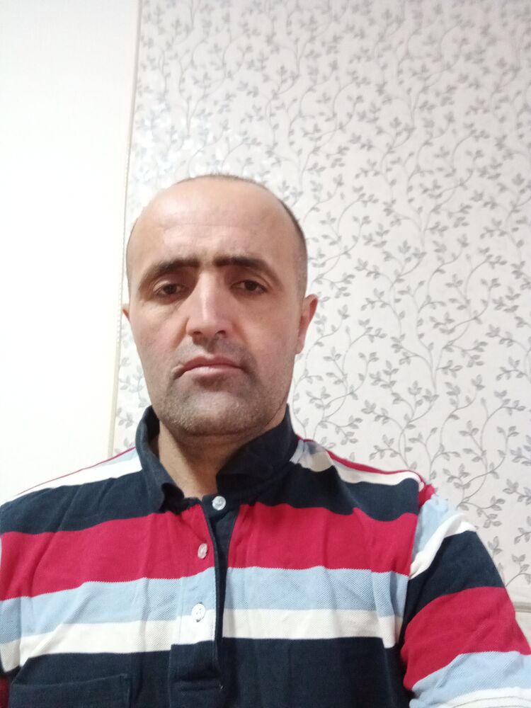  24131734  , 40 ,    