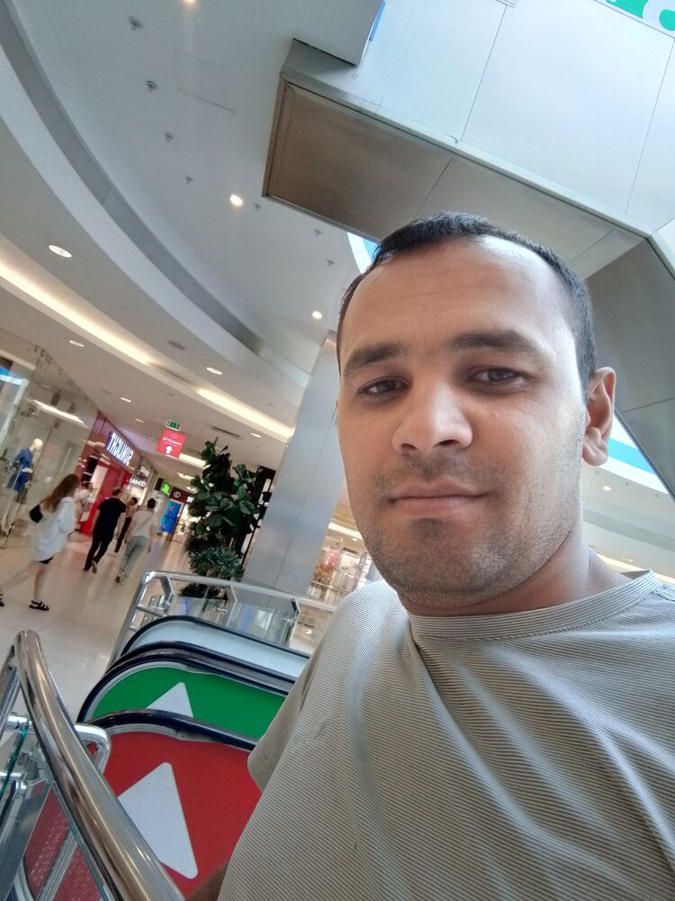  28565764  , 31 ,    