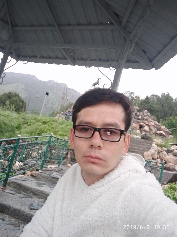  ,   Amir, 31 ,   ,   , c 