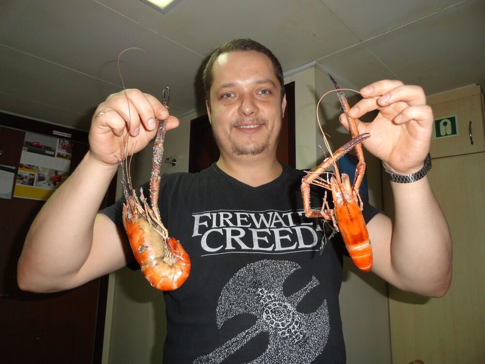  ,   Maikl, 39 ,     , c 