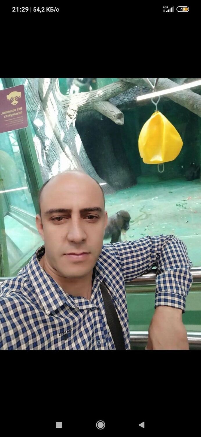  39133474  , 41 ,    