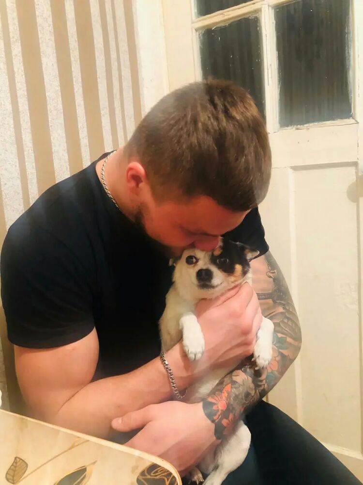  27595614  , 31 ,    -