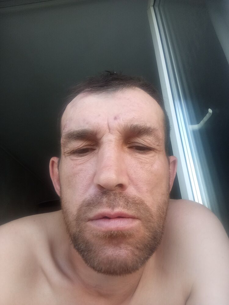  52709004  , 44 ,    