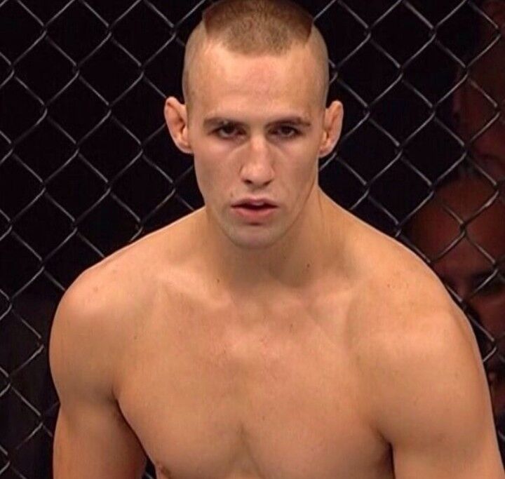 ���� 17069394 ������� �����, 33 ����, ���� ���������� � �������