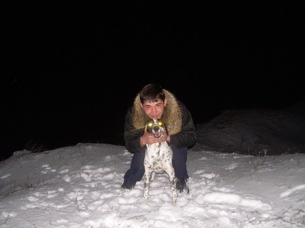 ���������� ���������, ���� ������� ����, 38 ���, ������������ ��� ������