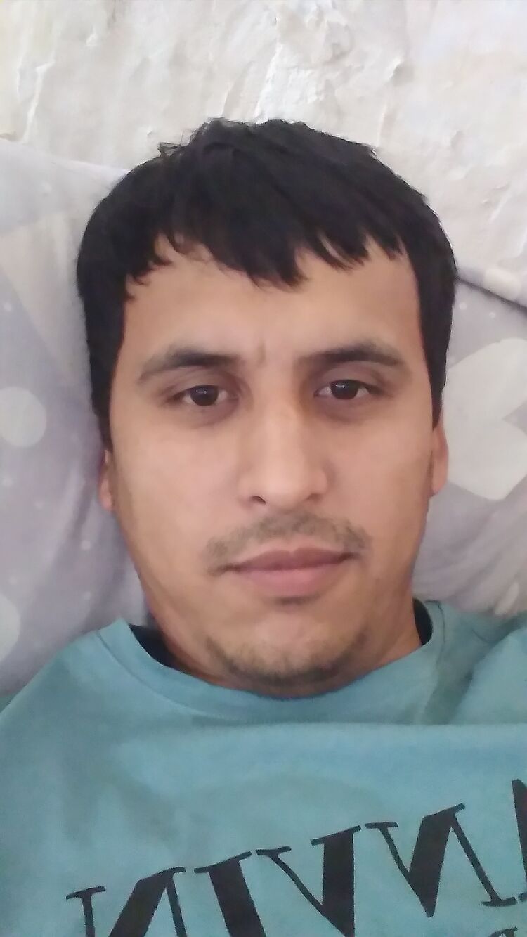  52004974  , 29 ,    