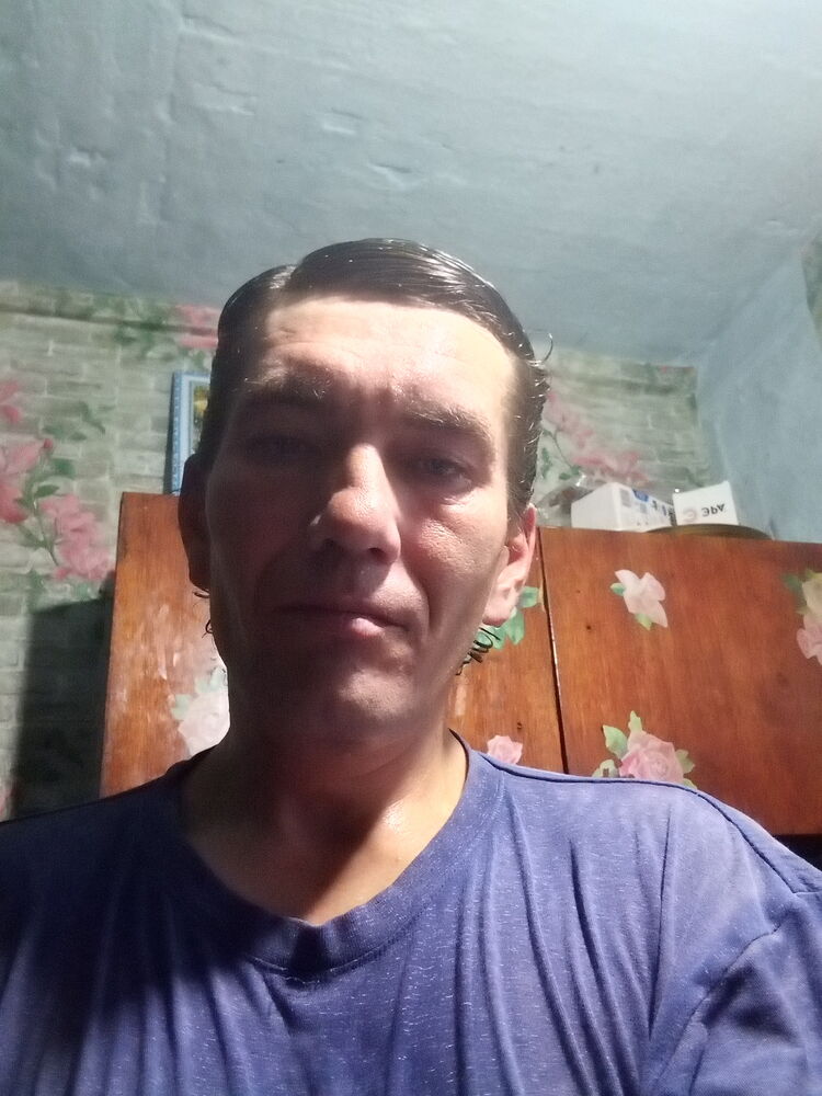  43230804  , 40 ,    
