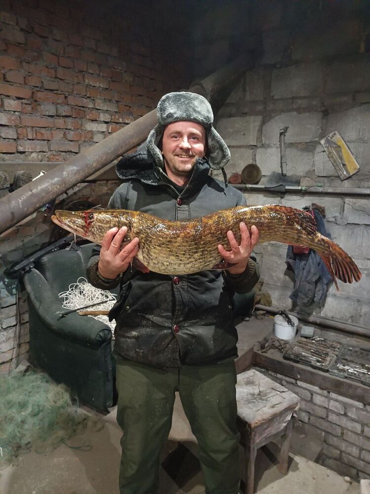 ���� 42101134 ������� ���������, 32 ����, ���� ���������� � ������