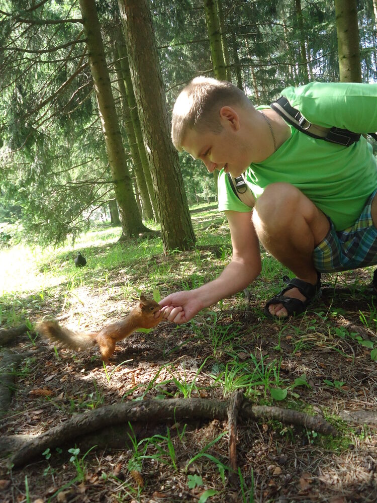 ���������� ��������, ���� ������� ����, 38 ���, ������������ ��� ������, ����� � ���������, c�������� ���������, ���������