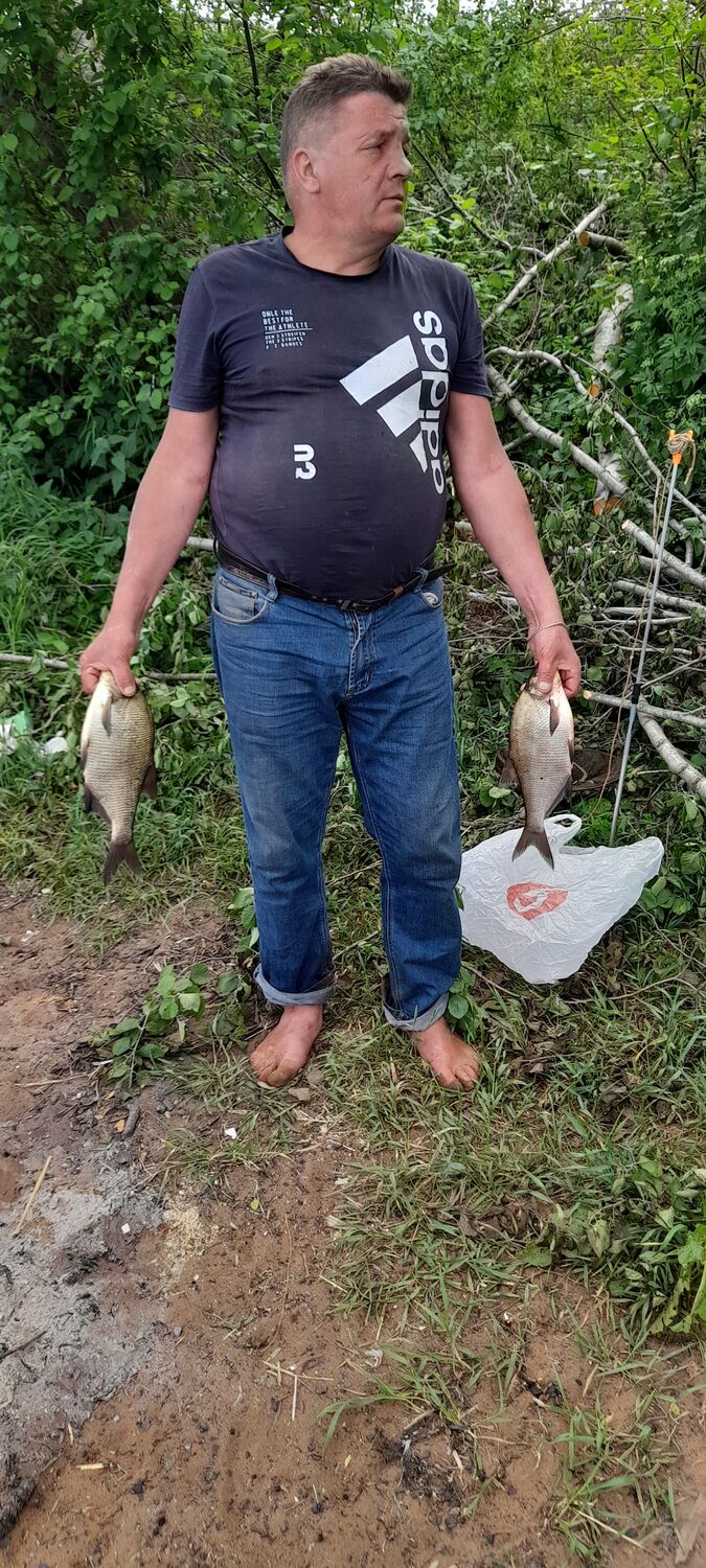  28380134  , 52 ,    -