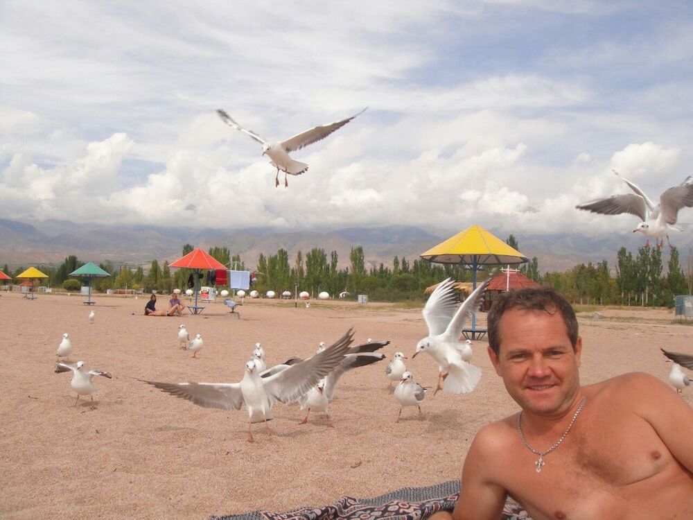  ,   , 54 ,   
