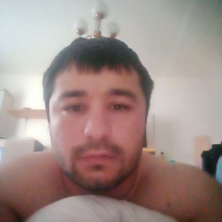  31246624  , 31 ,    