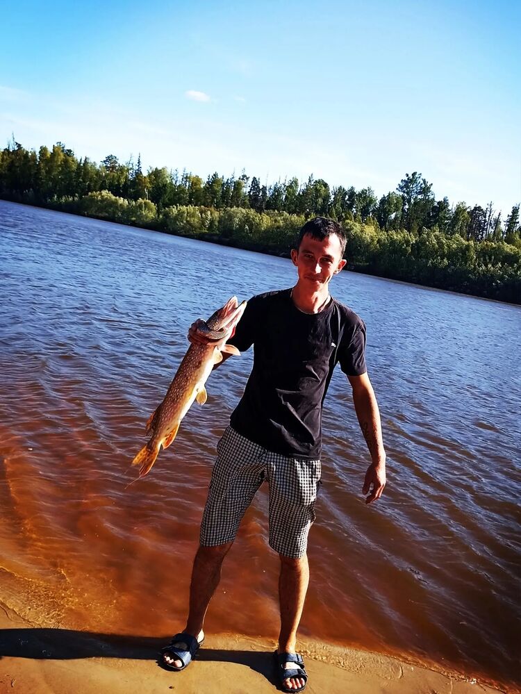  53982424  , 27 ,    -