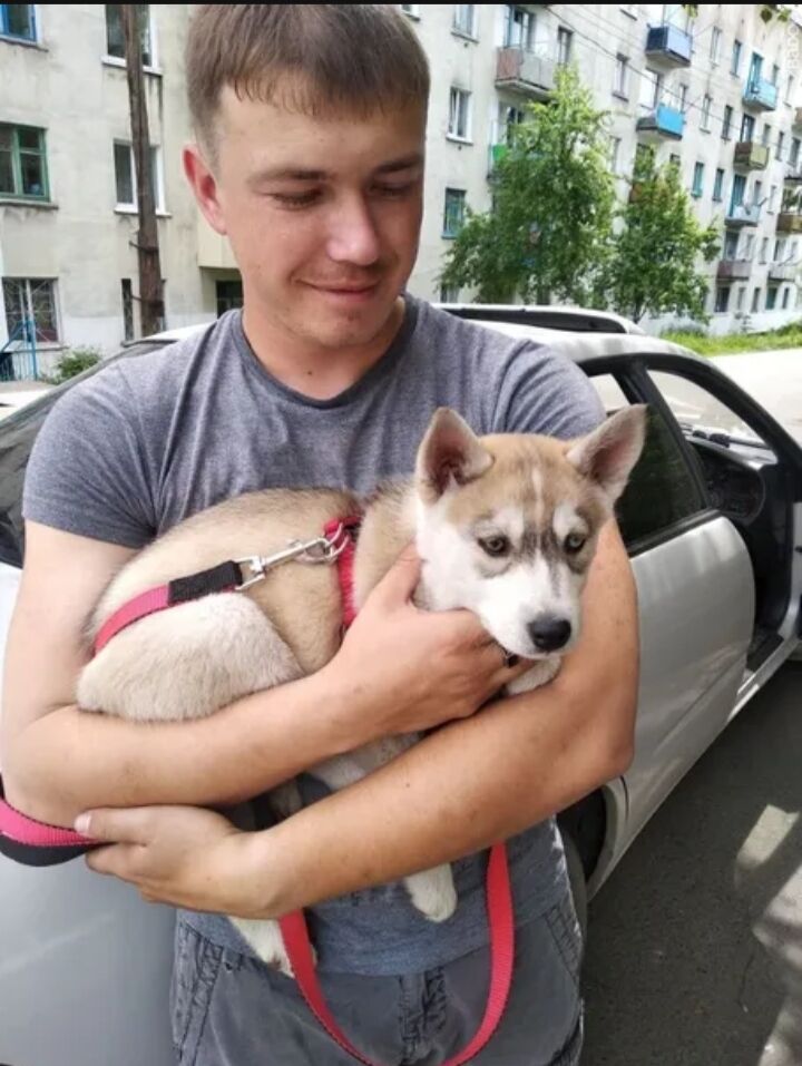 ���� 52933334 ������� �����, 27 ���, ���� ���������� � ����-������������