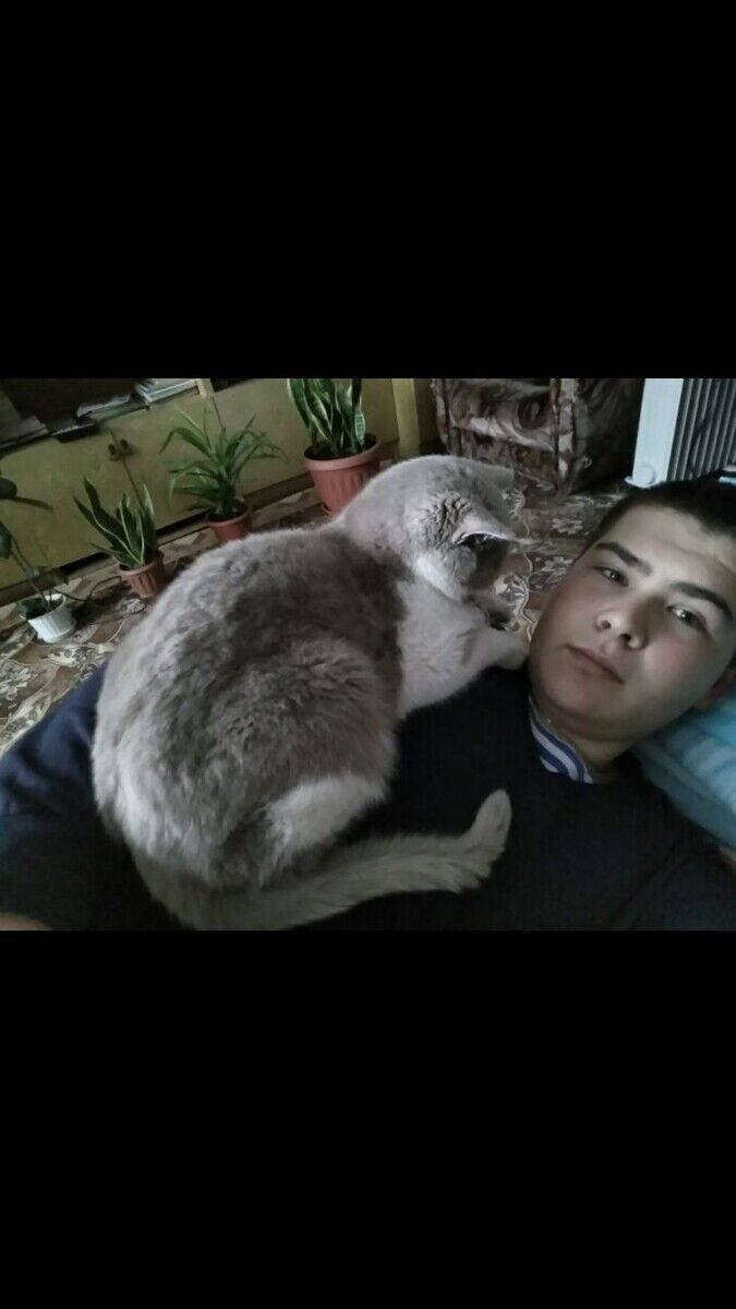 ���������� �������, ���� ����� ������, 24 ����, ������������ ��� ������, ����� � ���������, c�������� ���������