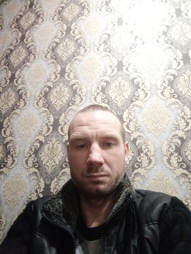  32711534  , 40 ,    Novy