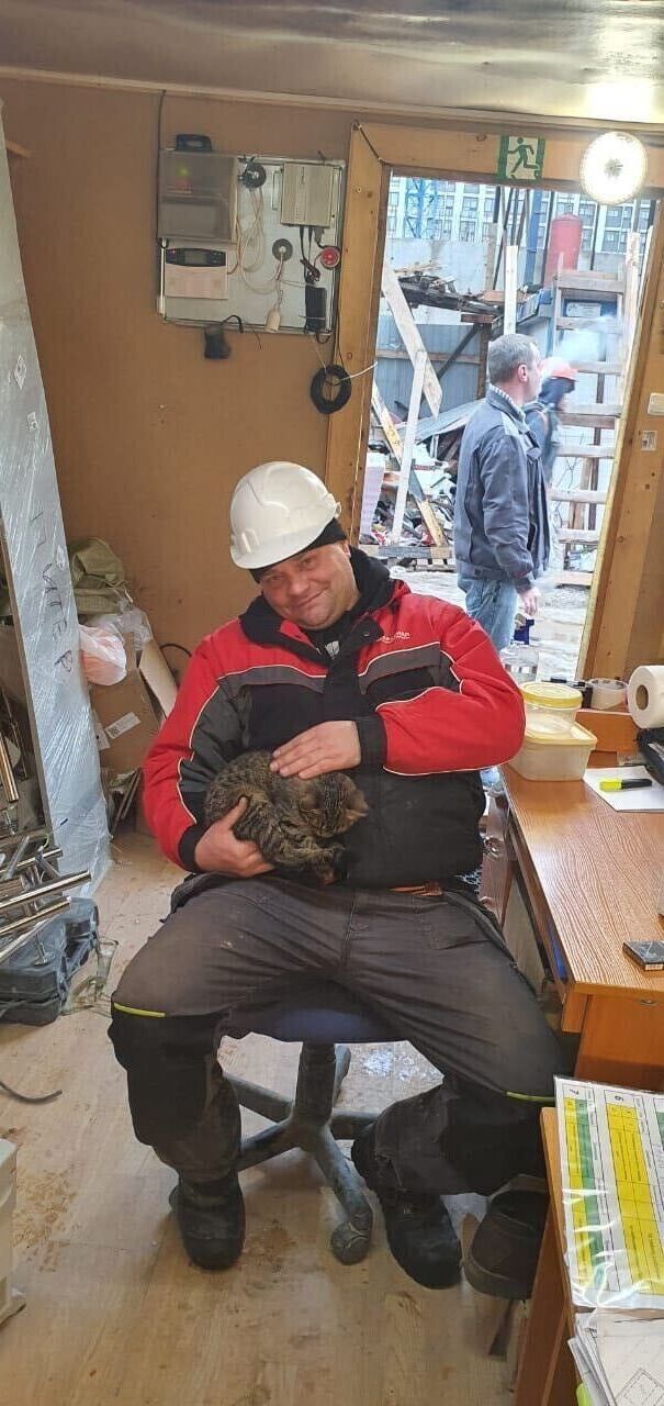  24225134  , 45 ,    -