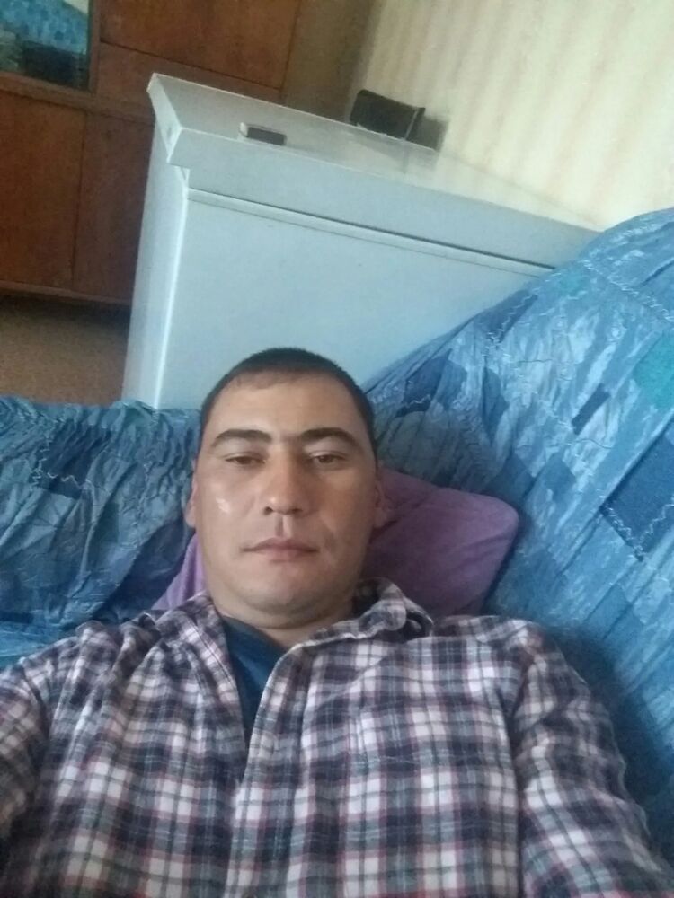  51164144  , 43 ,    